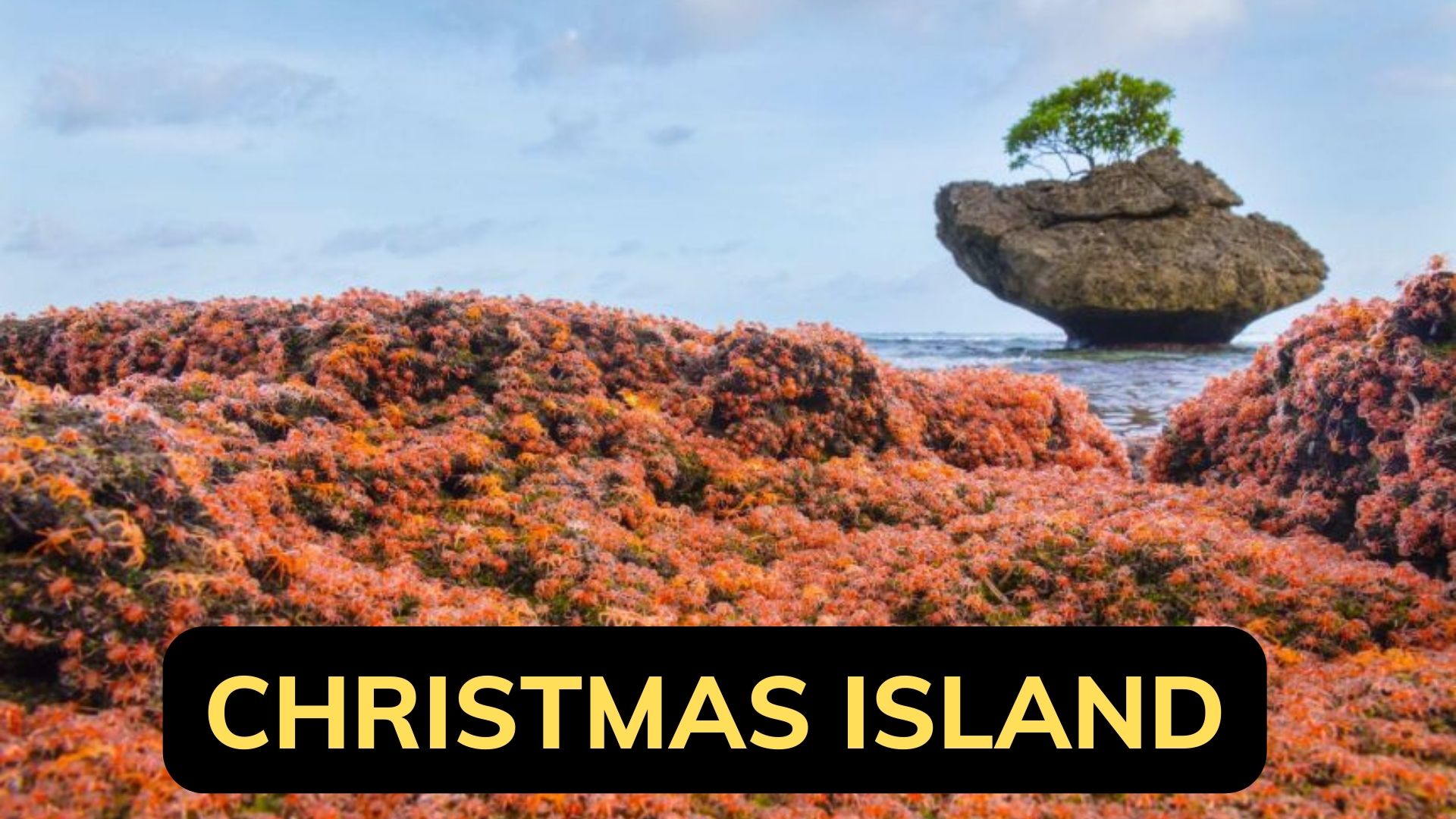 Christmas Island - An Amazing Ecotourism Destination