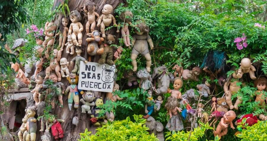 Trees with creepy dolls hanging on it and a signage with words No Seas Puercox written on it