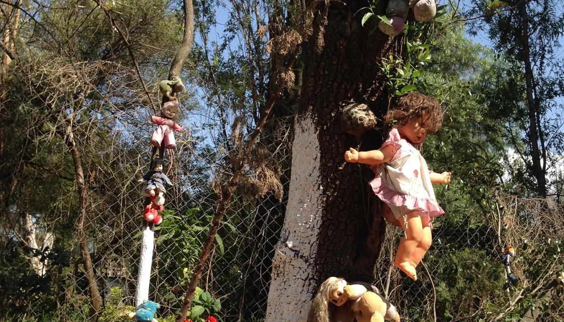 Dolls hanging on the tree and barb wires