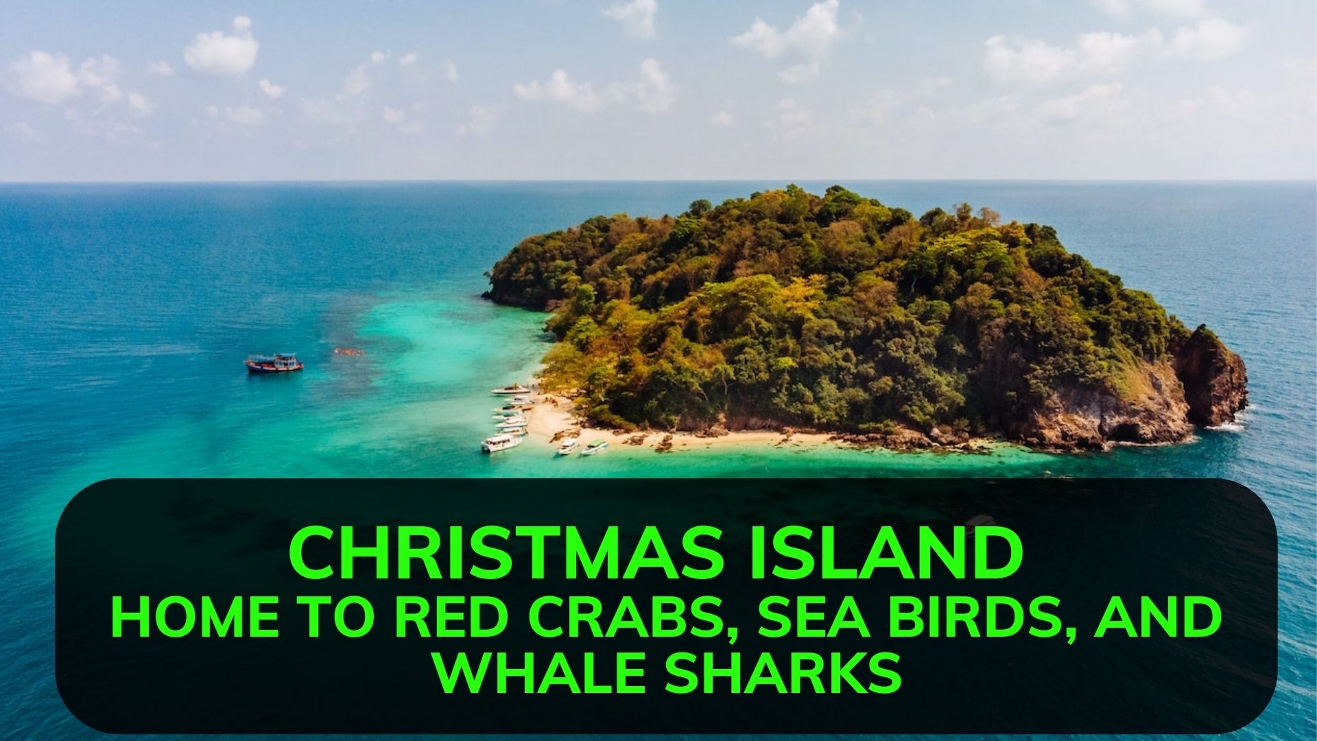 Christmas Island - Home To Red Crabs, Sea Birds, And Whale Sharks