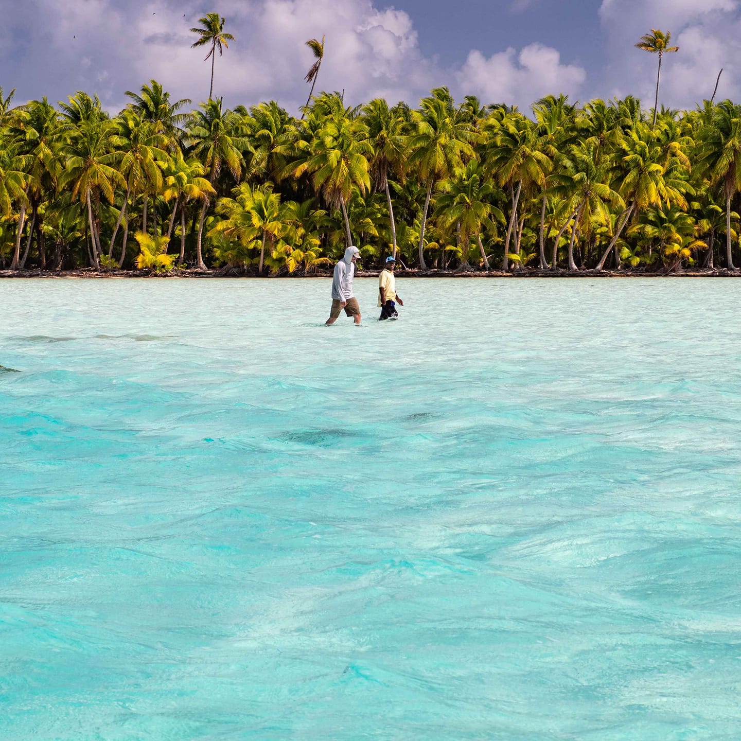 Two men walking in knee-deep aquamarine waters of Fanning Island, with lush coconut trees in the beach