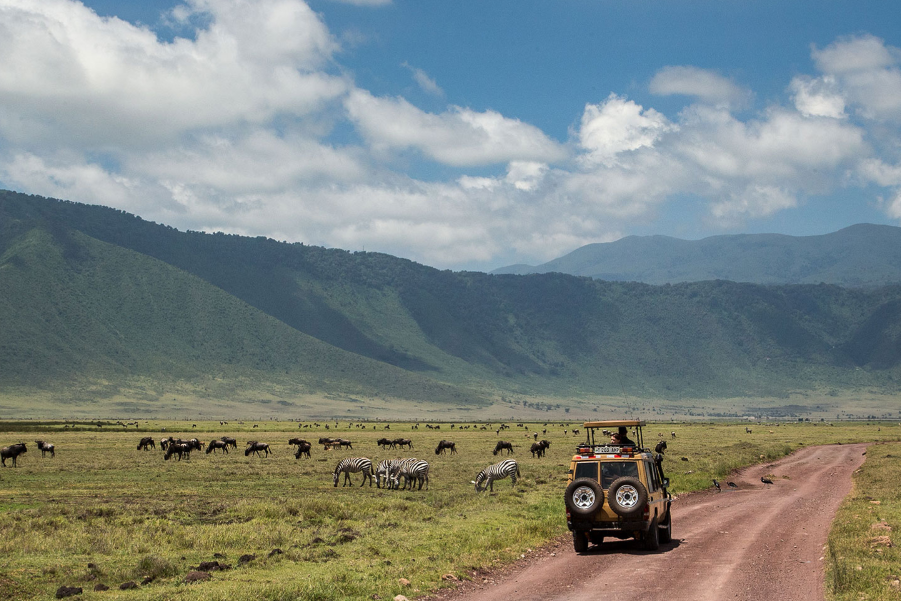 Best Place To Stay Ngorongoro Crater - Top Recommended Places
