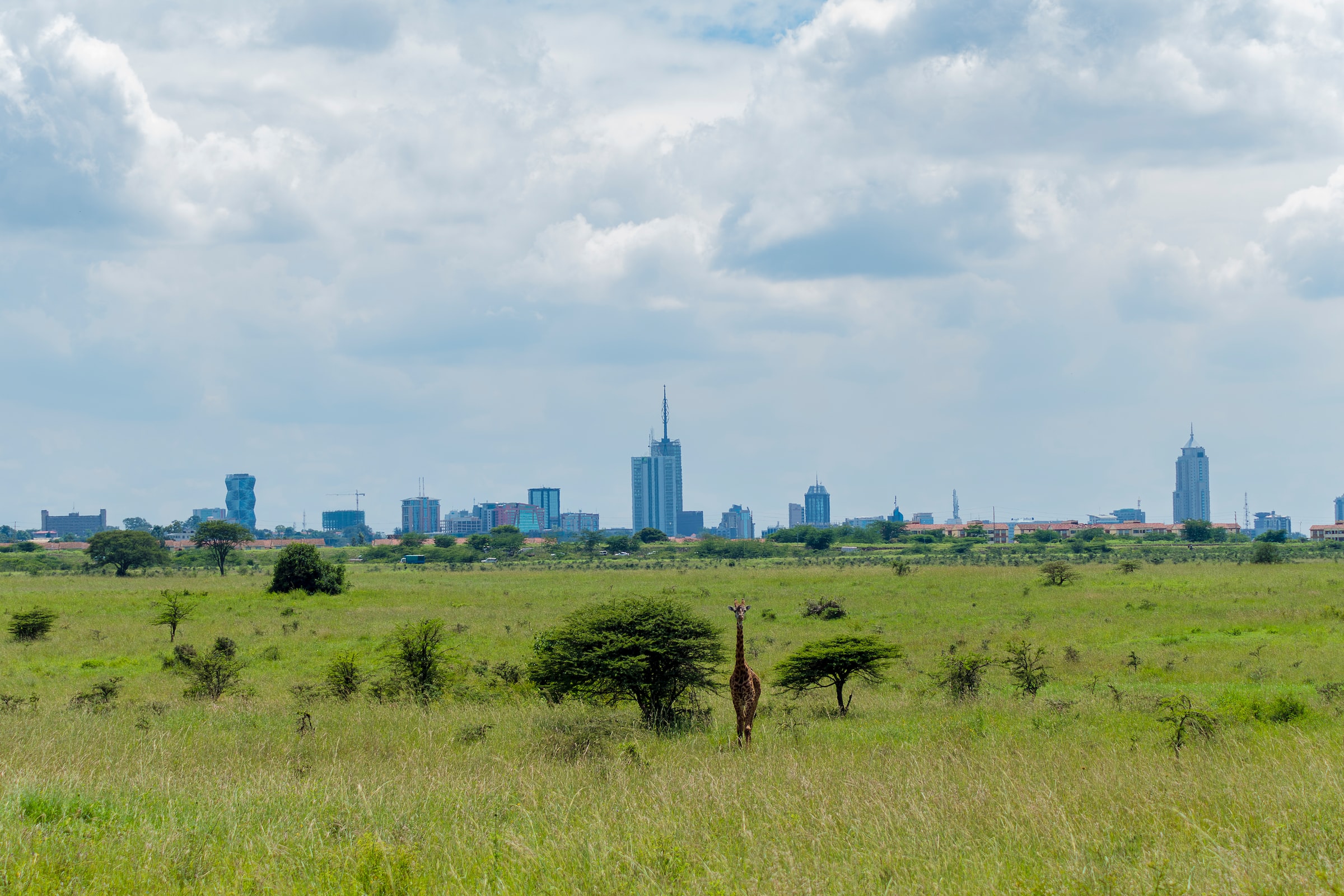Discover The Kenya Top Tourist Destinations