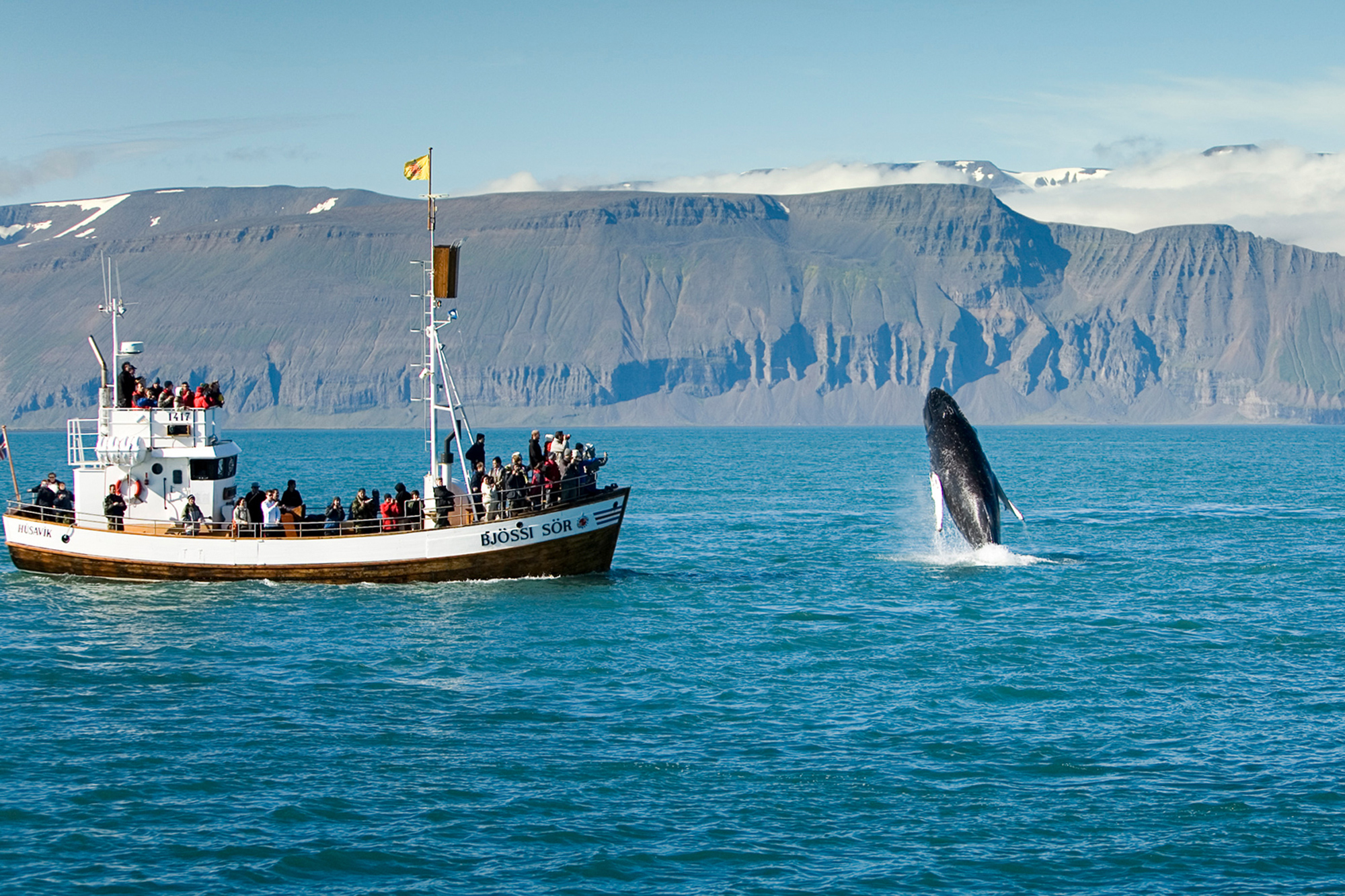 People on a boat watching a flipping whale in the ocean