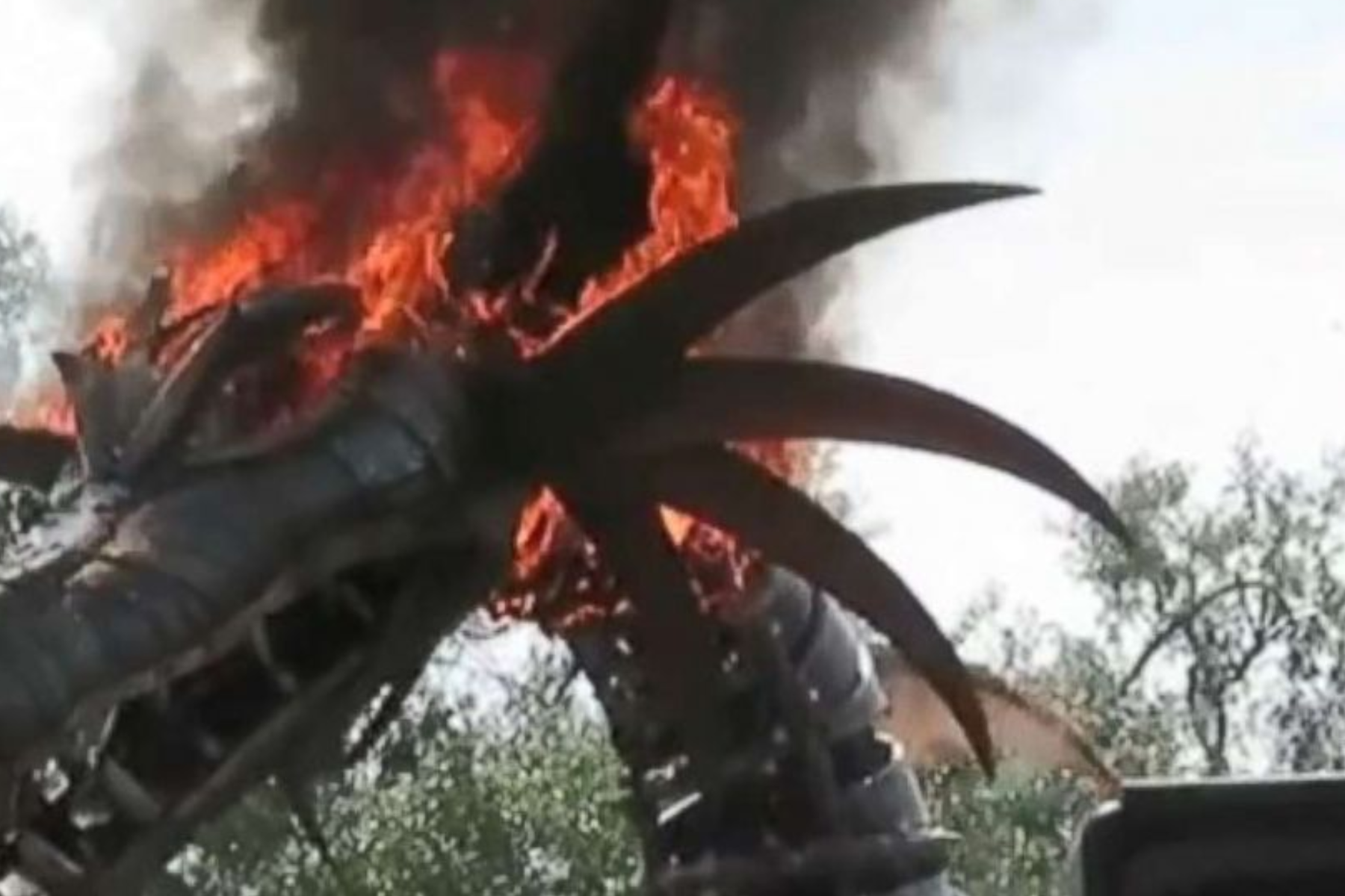 A photo of a burned dragon statue at Disneyland