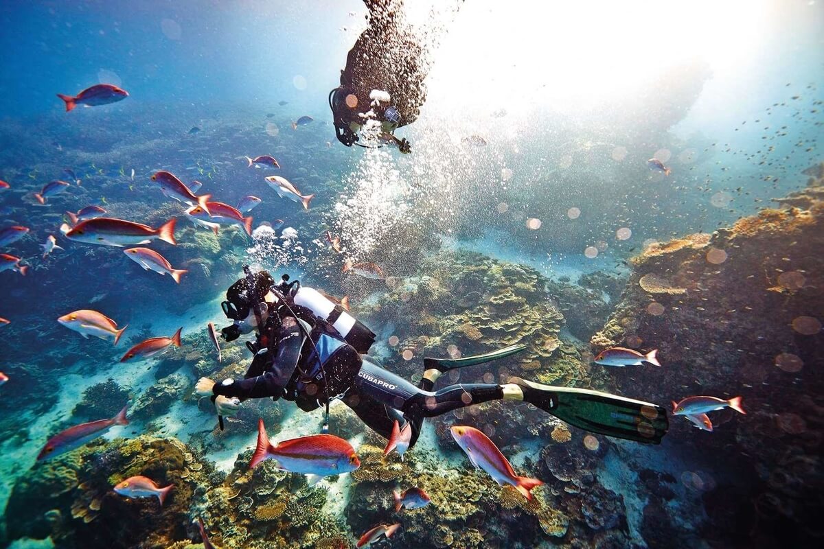 Scuba Diving In The Great Barrier Reef - From Vibrant Reefs To Historic Shipwrecks