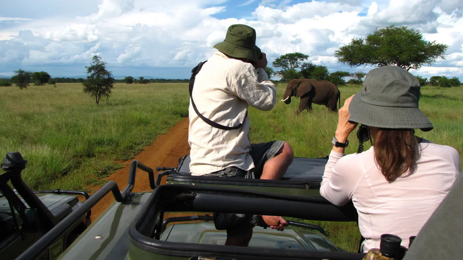 Wildlife Safaris In Africa - Visiting The Untamed Paradise