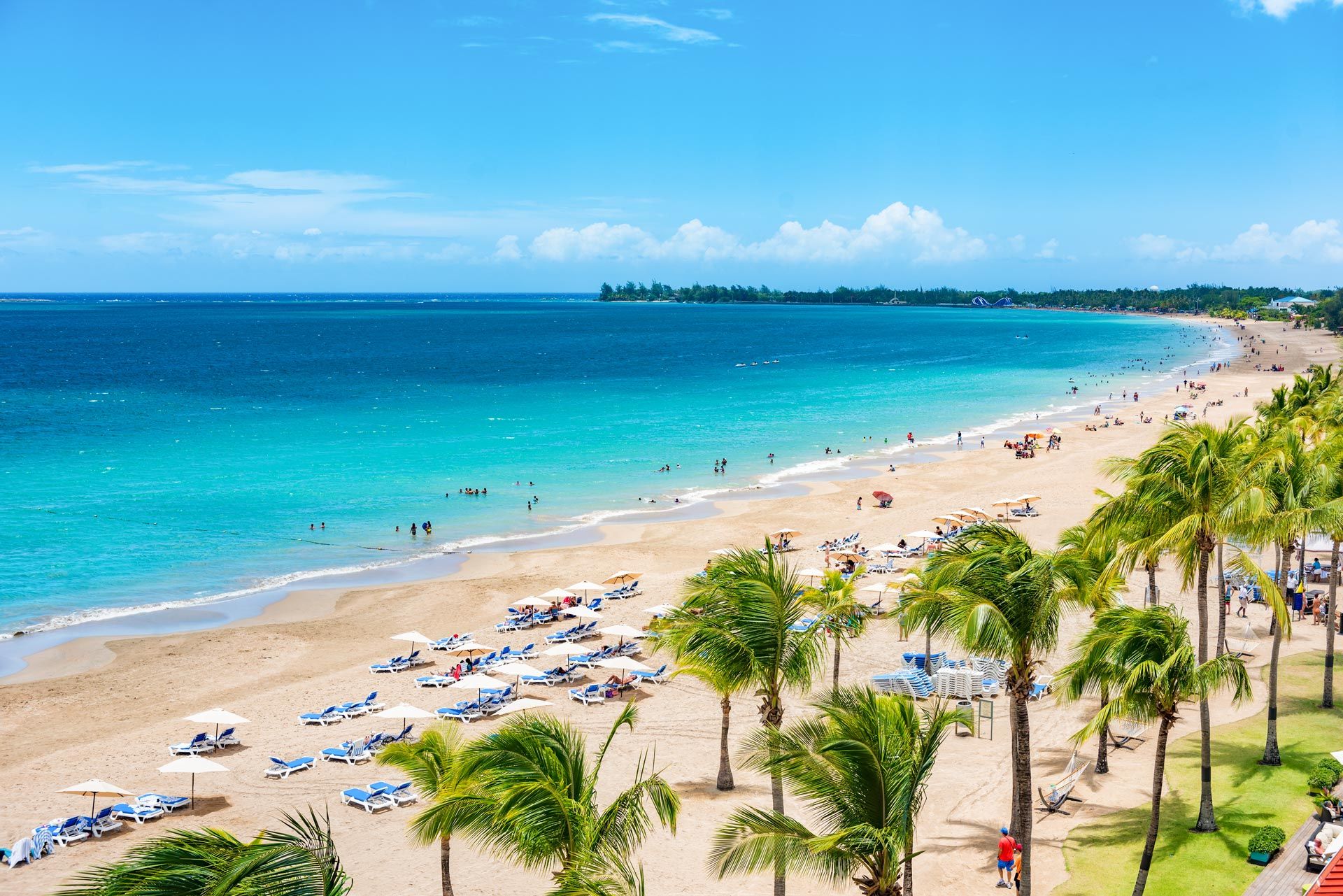 A sky view of a beach in Puerto Rico with palm trees and beach chairs