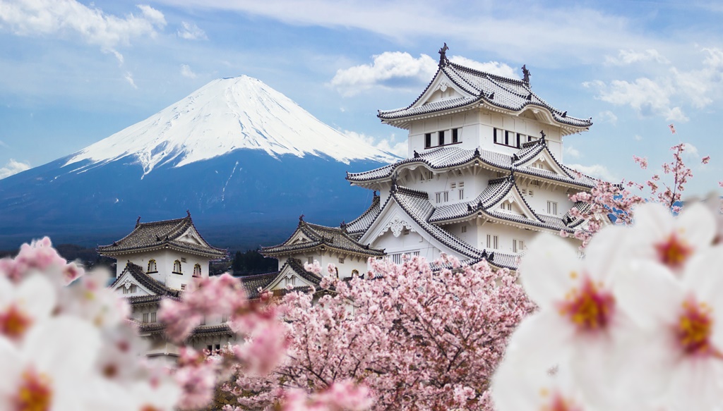 A beautiful view of the Himeji Castle showing two white castle surrounded by pink flowers