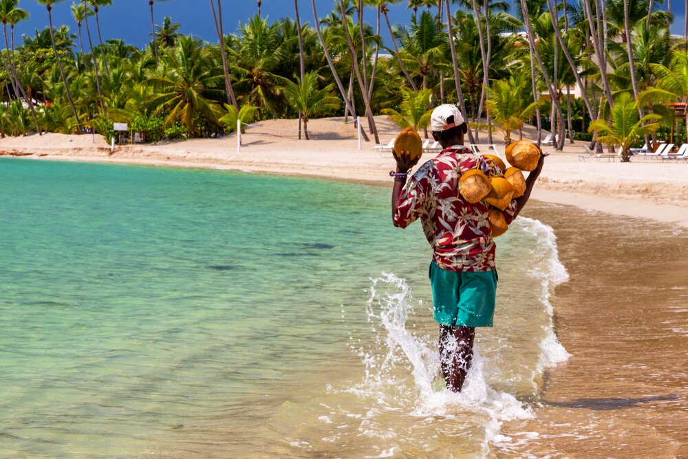 A person carrying coconuts while walking in a beach at Dominican Republic
