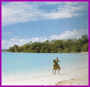 A person riding a horse along a beach in Vanuatu, with its blue waters and white sand